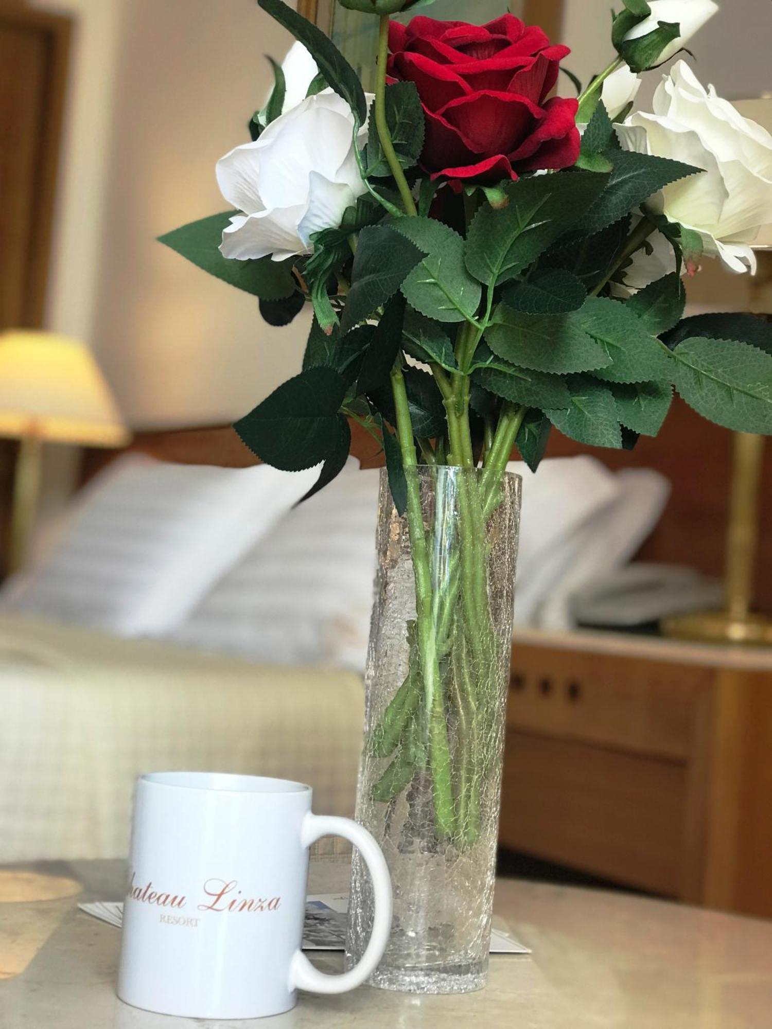 Hotel Chateau Linza