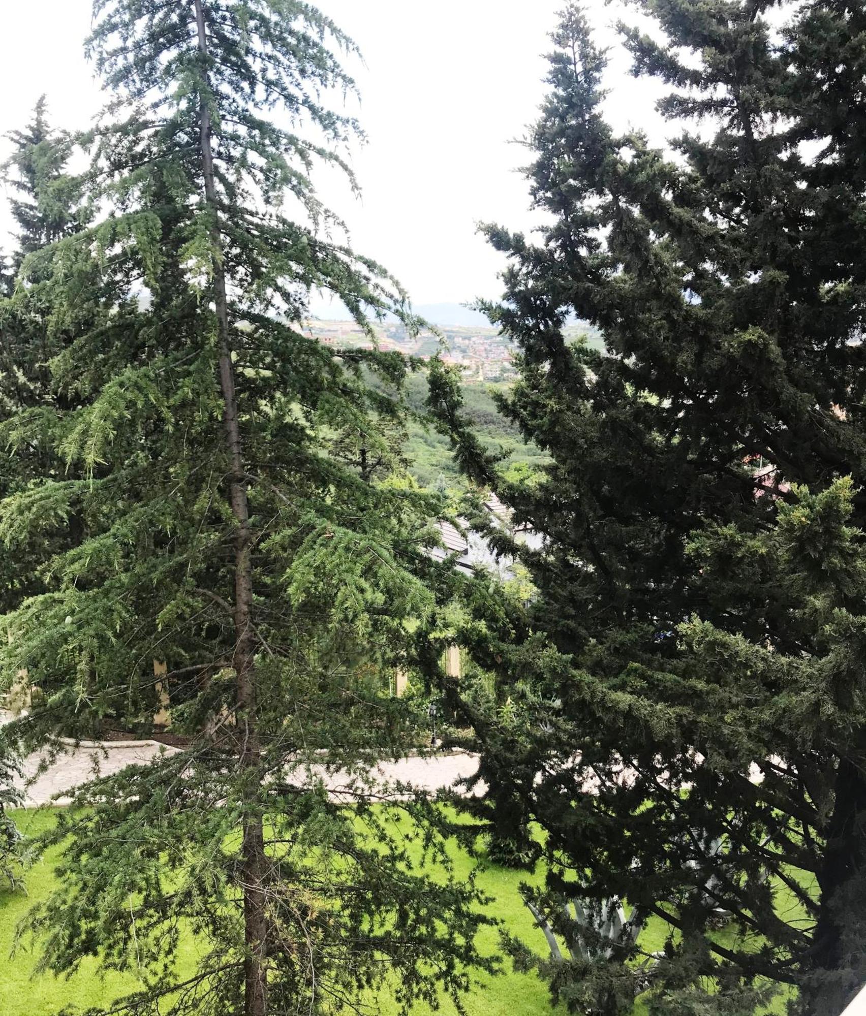 Chateau Linza Hotel Shkoze